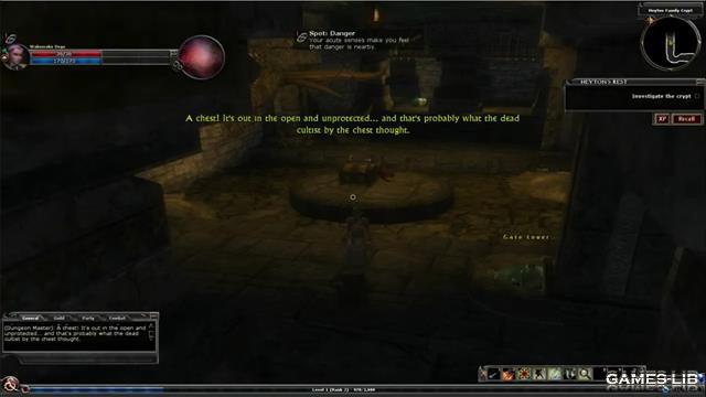 Dungeons and Dragons Online (DDO)
