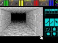 Dungeon Master для Amiga