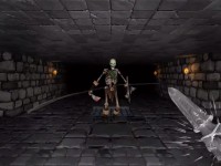 Crystal Rift похожа на The Elder Scrolls IV: Oblivion