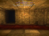 The Deep Paths: Labyrinth Of Andokost похожа на The Elder Scrolls V: Skyrim