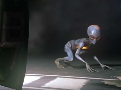 XCOM: Enemy Unknown �������� �� ������. ������ � ����.