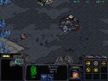 StarCraft игра жанра RTS стратегия