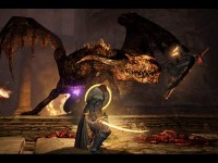 Dragon's Dogma: Dark Arisen   Elden Ring