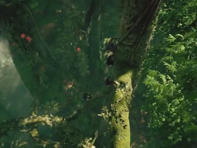 Ancestors: The Humankind Odyssey ��������. ������ � ����.