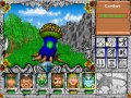  Might and Magic 3: Isles of Terra: Wild Fungus ( )