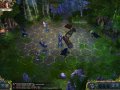  King's Bounty: The Legend -  .  .