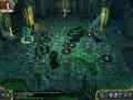 King's Bounty: The Legend -        ,  .