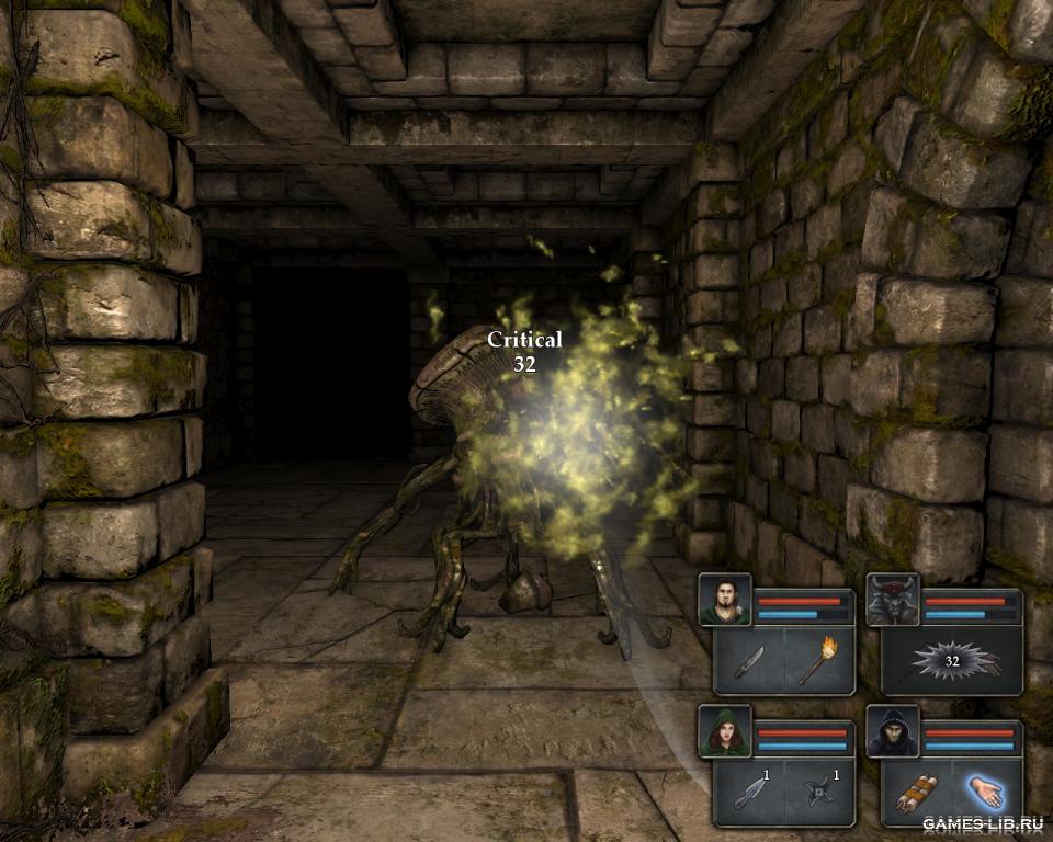 Legend of Grimrock :   ...