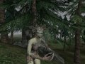 скриншот The Elder Scrolls III: Morrowind: в лесу