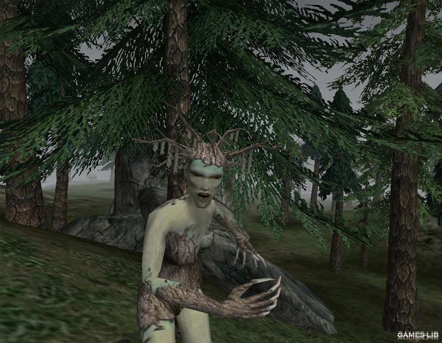  The Elder Scrolls III: Morrowind  