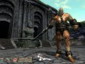 скриншот The Elder Scrolls IV: Oblivion: опасный враг
