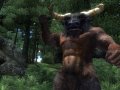 скриншот The Elder Scrolls IV: Oblivion: враждебный обитатель леса