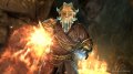 Сκpиншοτ The Elder Scrolls V: Skyrim - Dragonborn - бοй c οκyльτиcτοм