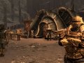 скриншот The Elder Scrolls V: Skyrim - Dragonborn: стражник Редорана