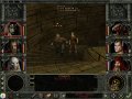  Wizardry 8 -  .