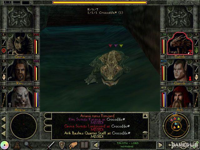  Wizardry 8  .