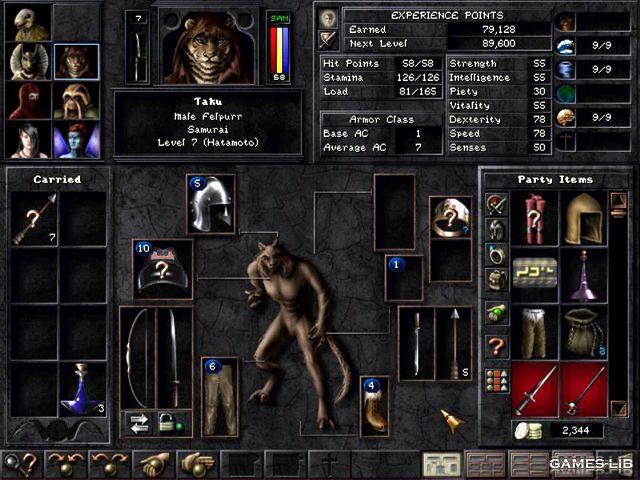  Wizardry 8  