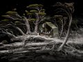  Samorost 3 -  