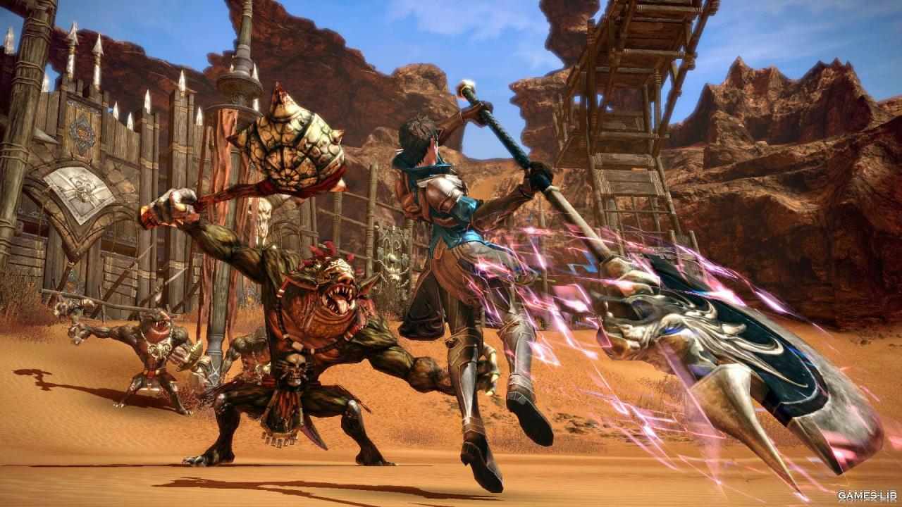  Tera    MMO