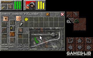  Dungeon Master 2: The Legend of Skullkeep    party ( 4 )