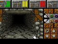  Dungeon Master 2: The Legend of Skullkeep: 