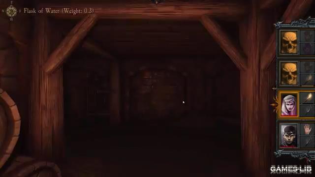  Dungeon Kingdom: Sign of the Moon Dungeon crawler -       
