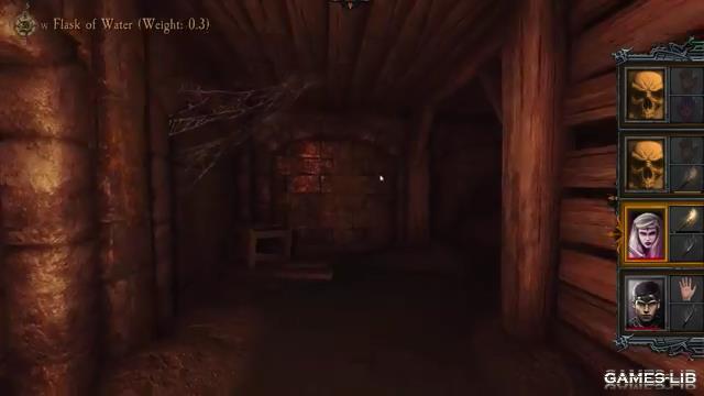  Dungeon Kingdom: Sign of the Moon   Dungeon Kingdom (    dungeon crawler - )
