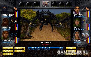  Wizardry 7: Crusaders of the Dark Savant Black Birds